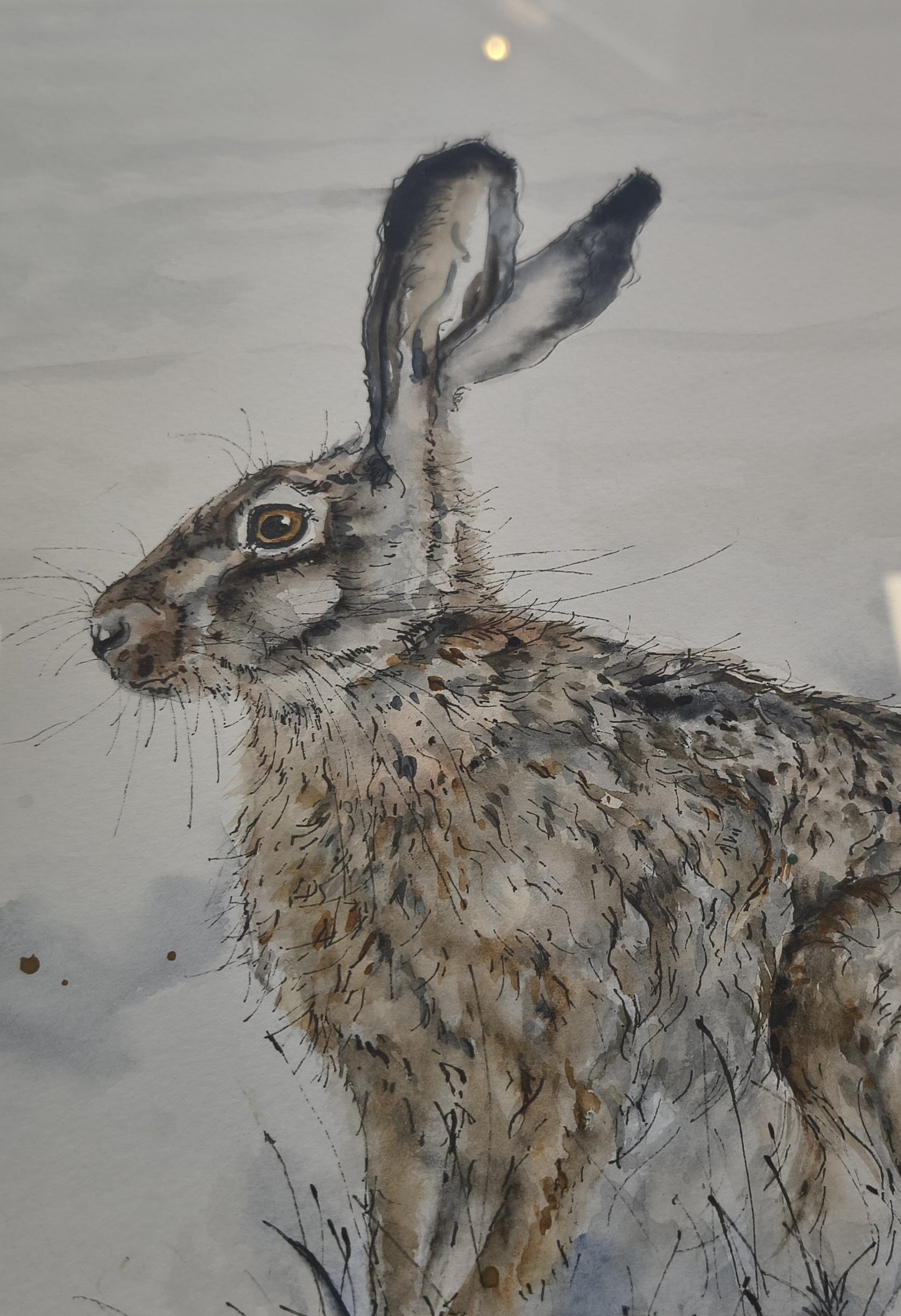 Anne Gilbert - Hare and Moon. Framed Original Watercolour of Hare