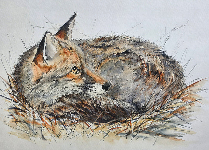 Anne Gilbert - Autumn Fox Limited Edition Print