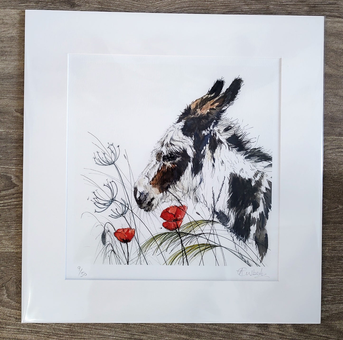 Anne Gilbert -Annie Donkey, Cute limited Rdition print of a Donkey