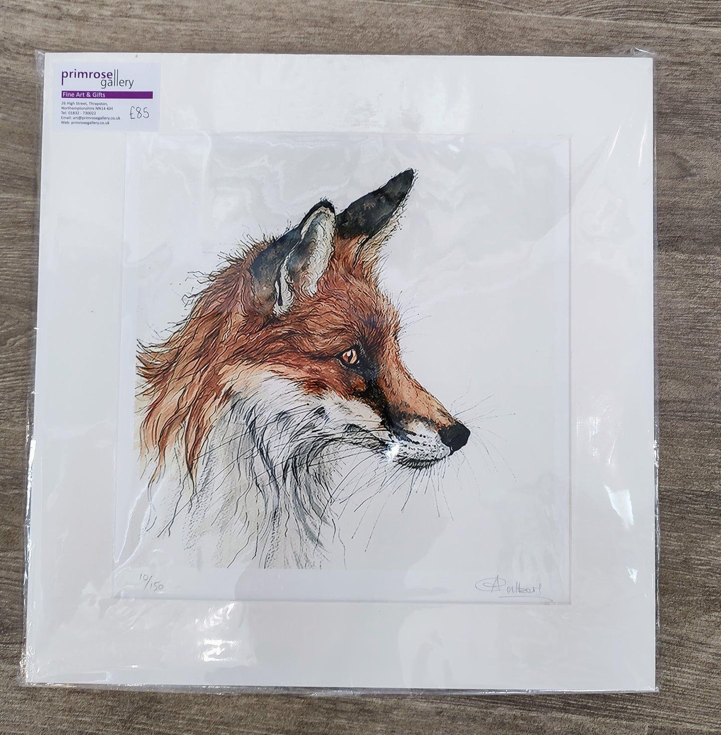 Anne Gilbert- Cody Fox, Limited Edition Print of a Red Fox