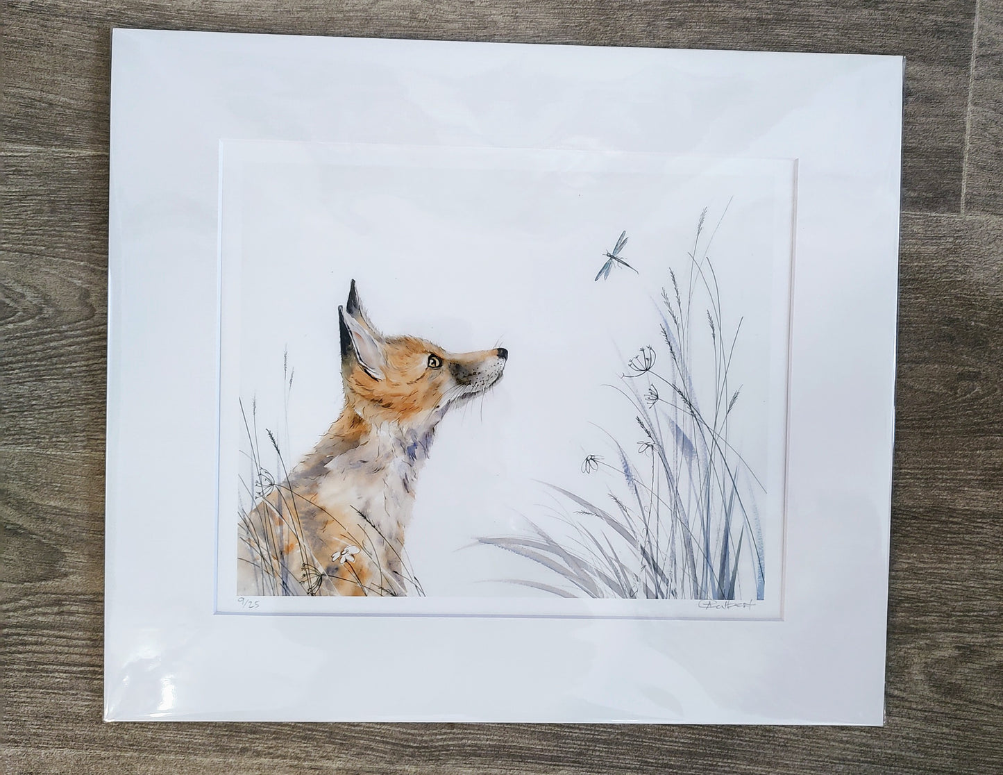 Anne Gilbert- Fox and Damselfly , Limited Edition Print of a Red Fox