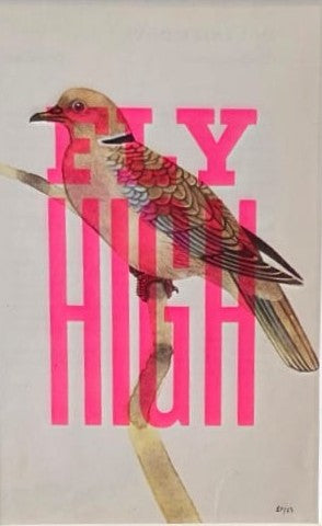 Basil and Ford - Fly High Bird, Framed Screen Print