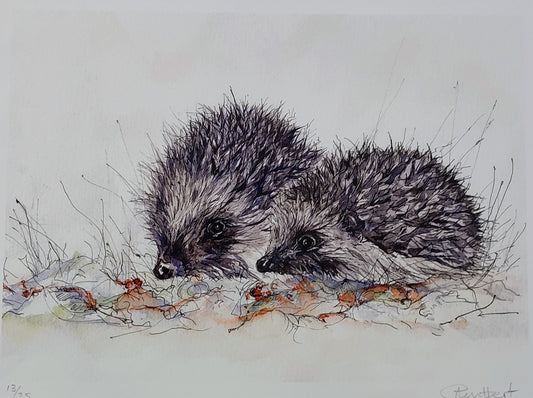 Anne Gilbert- Hedgehogs, Limited Edition Print of Two European Hedgehogs