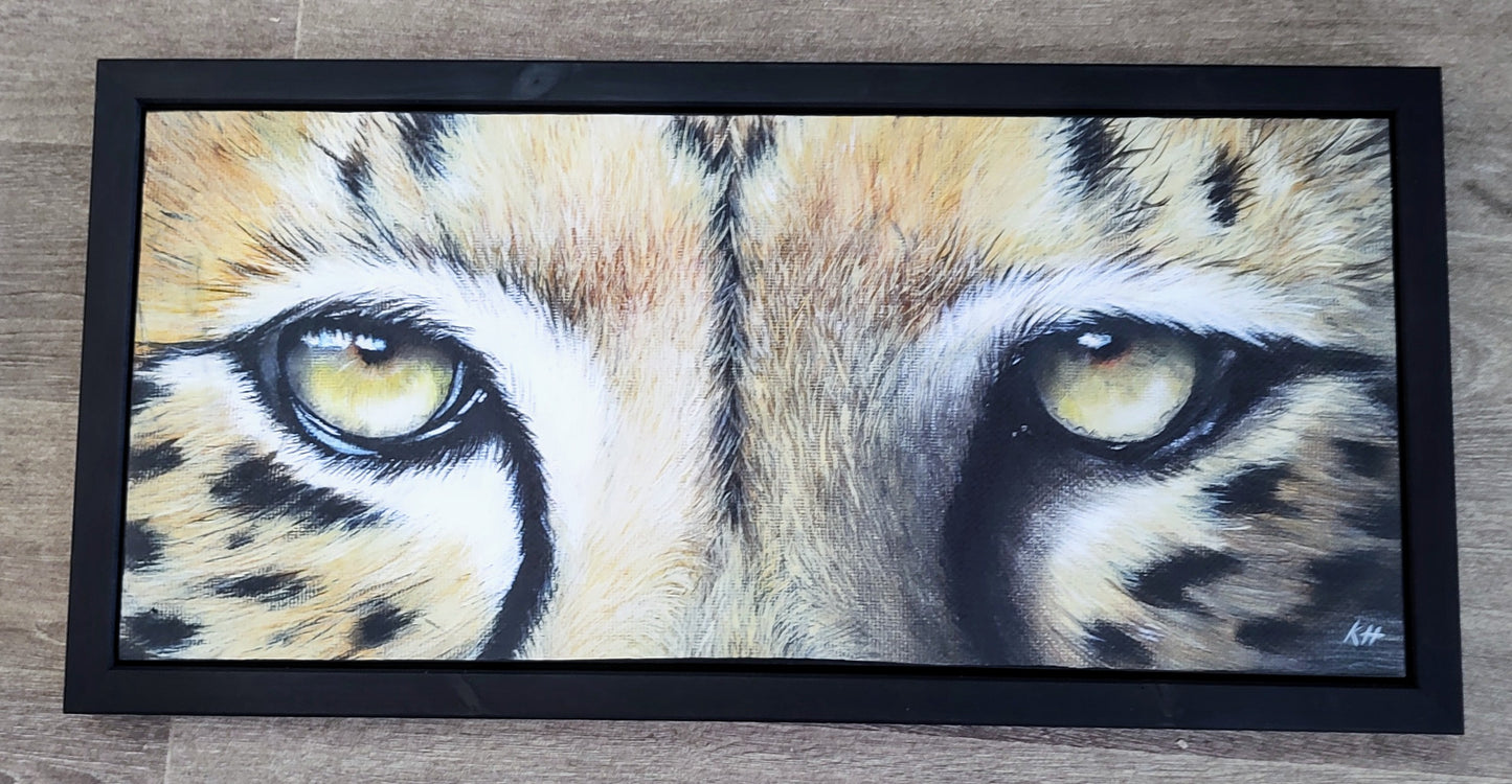 Keiran Hodge- Intense Focus, Framed Print on Canvas of a Cheetah