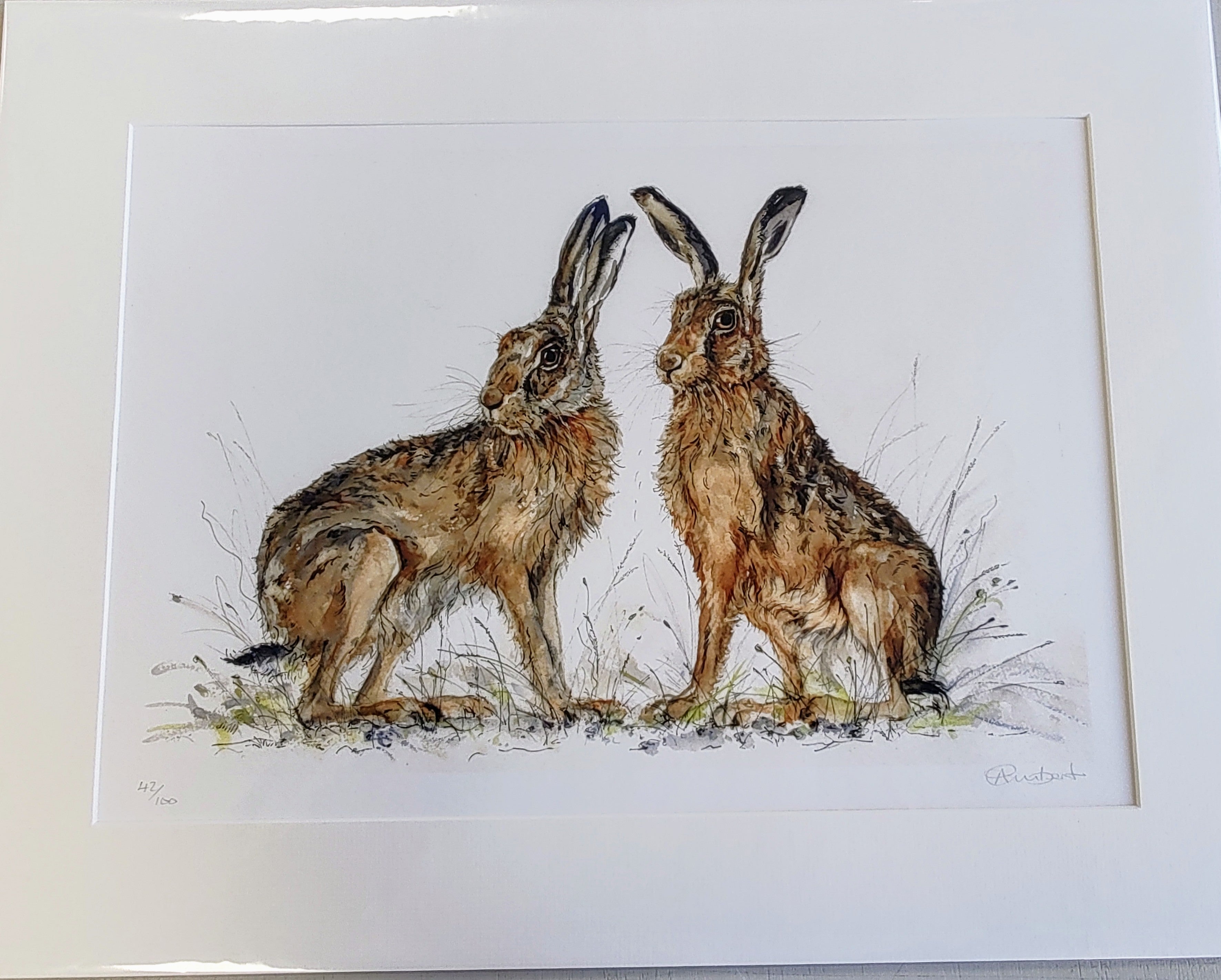 Anne Gilbert - Two's Company Hares, Mounted limited Edition Print - Primrose Gallery and Framing