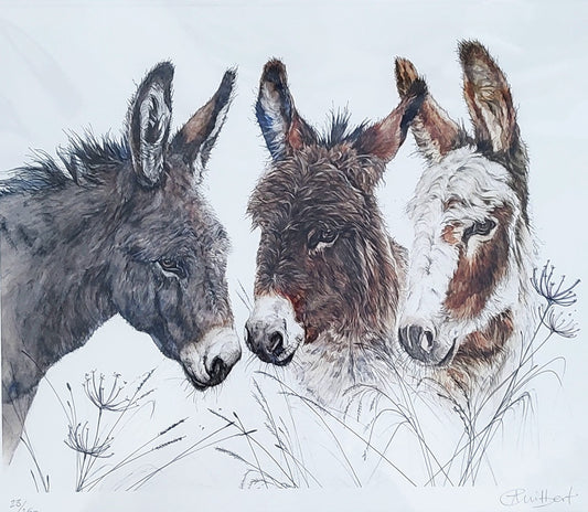 Copy of Anne Gilbert -George, Bridget and Annie, Cute limited Rdition print of Donkeys