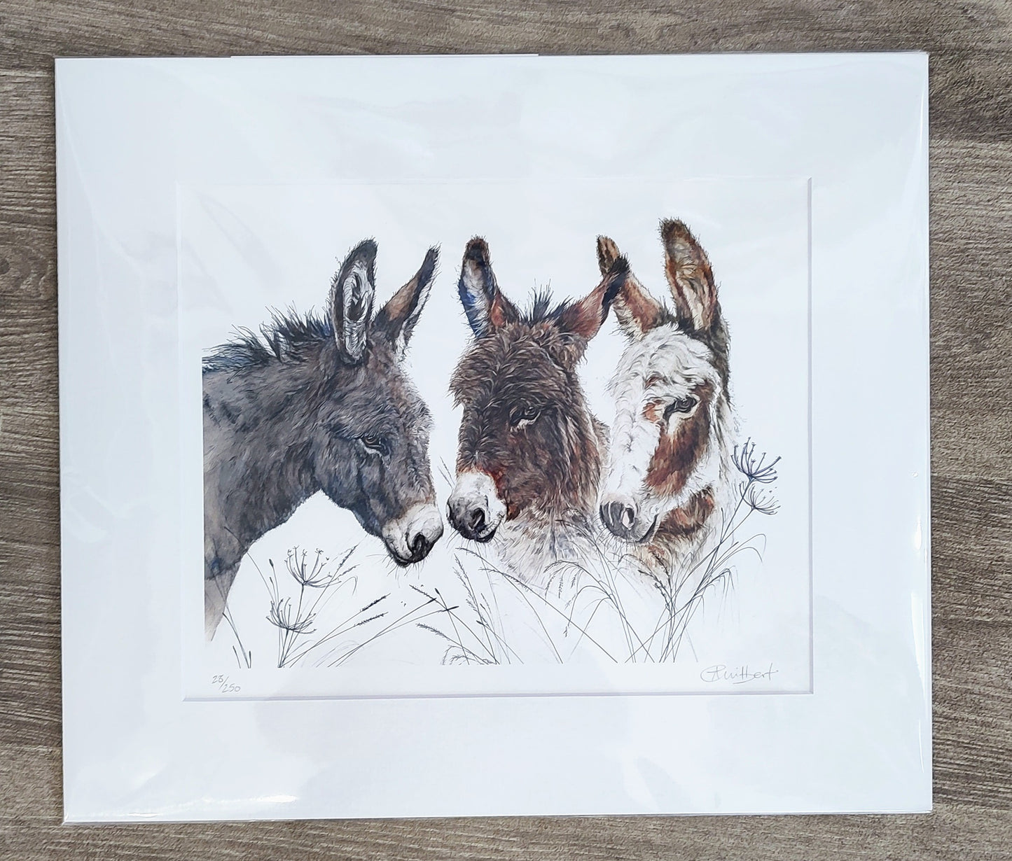 Copy of Anne Gilbert -George, Bridget and Annie, Cute limited Rdition print of Donkeys