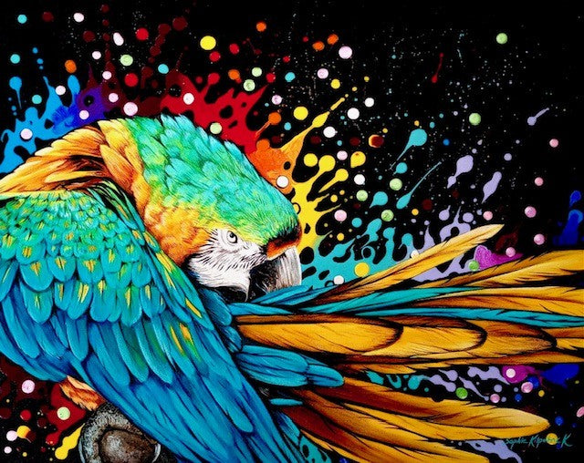 Sophie Bliss Kilpatrick - Stike a Pose