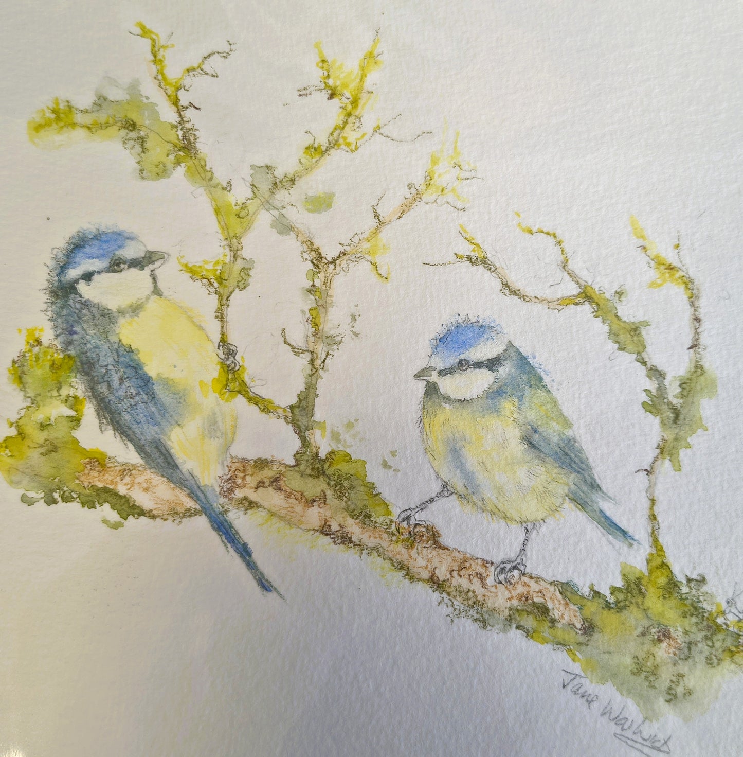 Jane Warwick - Bella and Bertie, Original Mounted pen, Ink and Watercolour