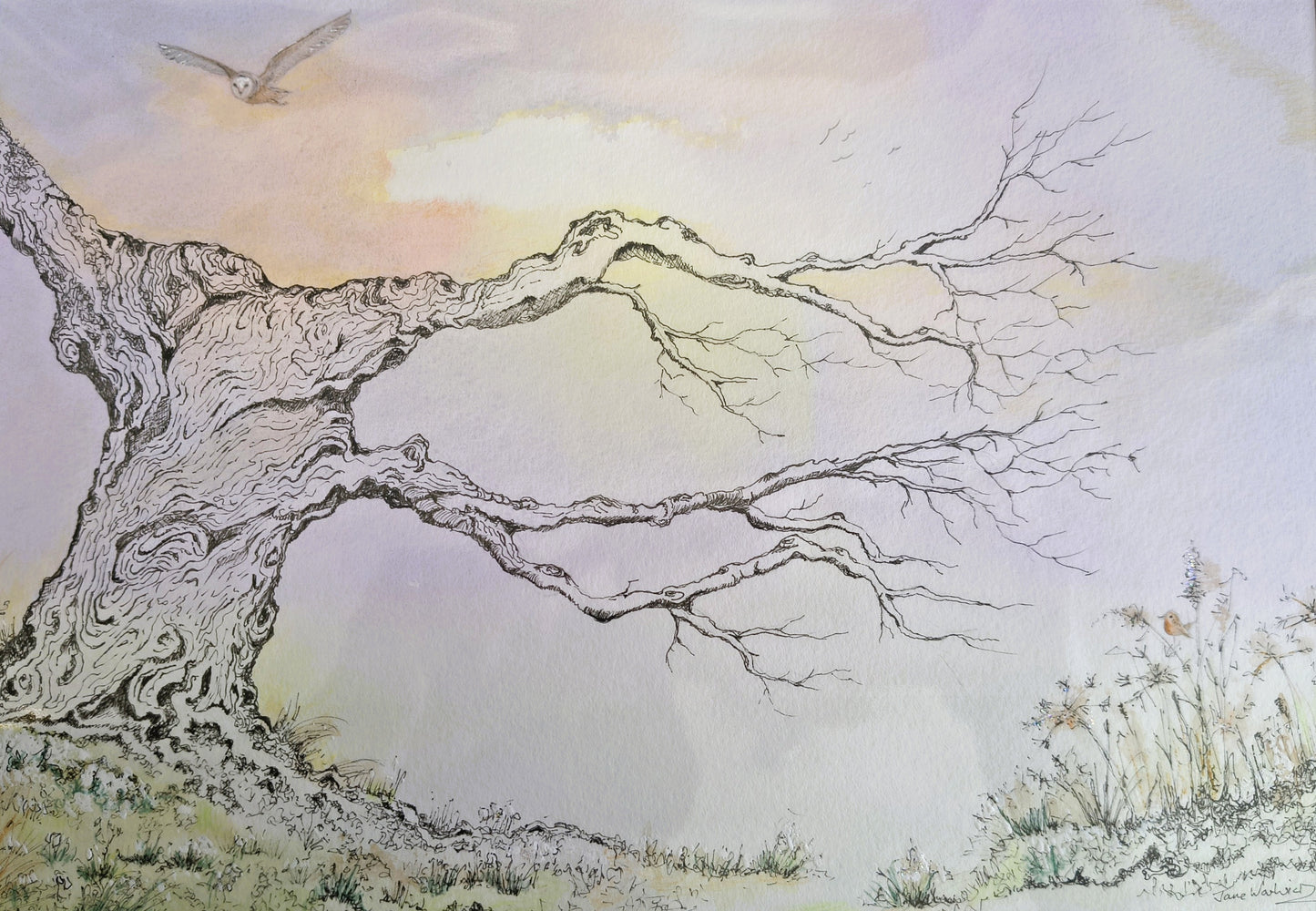 Jane Warwick - Flying Home, Original Mounted pen, Ink and Watercolour