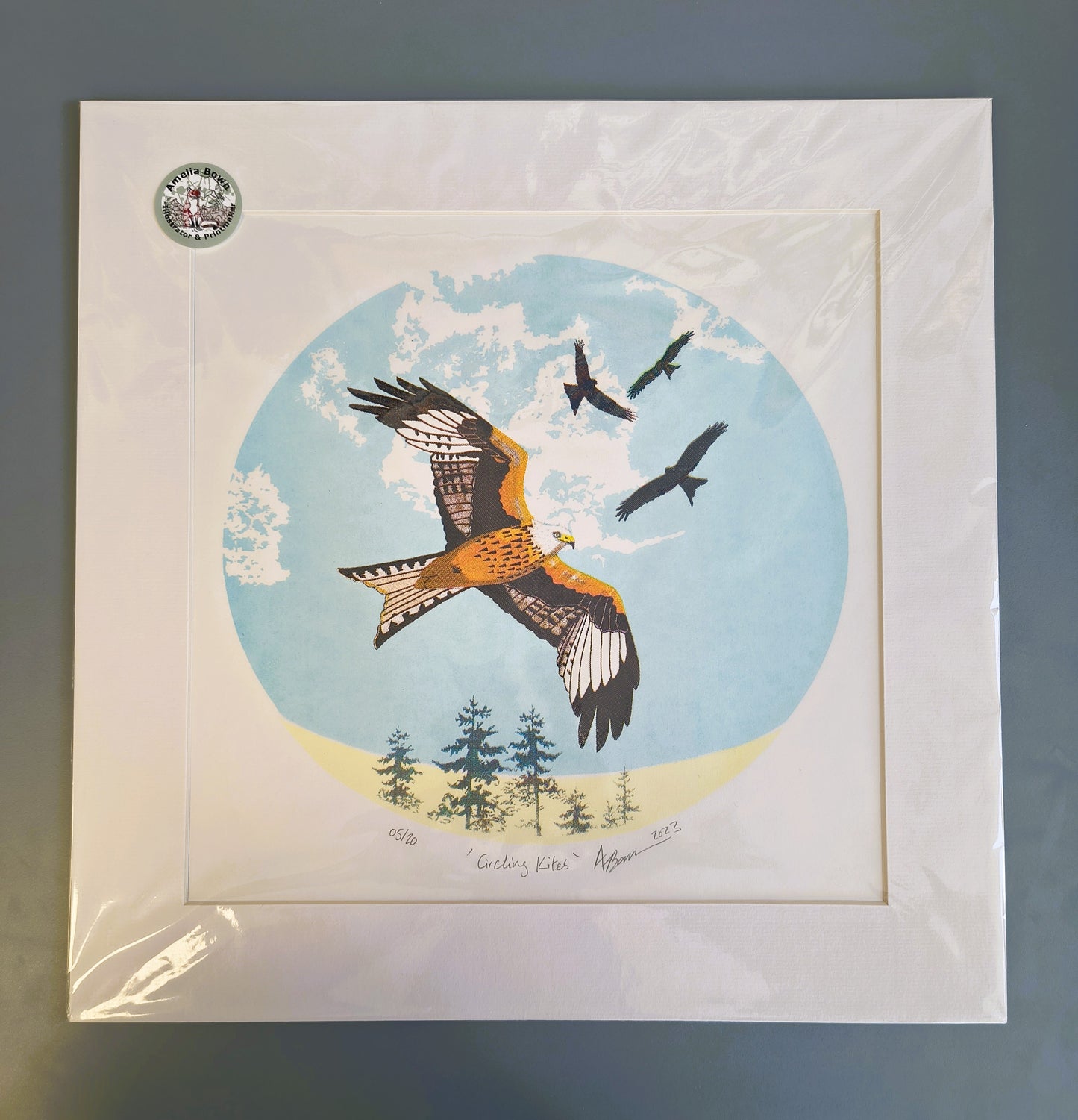 Amelia Bown - Cycling Kites, Original Ltd Edition Mounted Screen Print