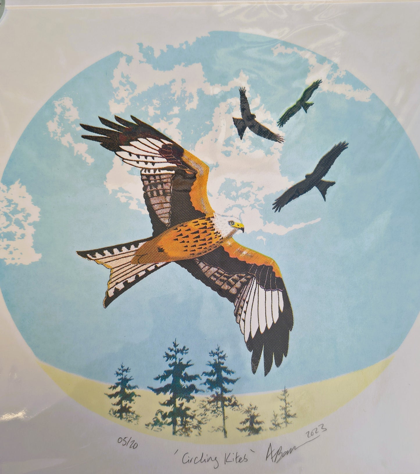 Amelia Bown - Cycling Kites, Original Ltd Edition Mounted Screen Print