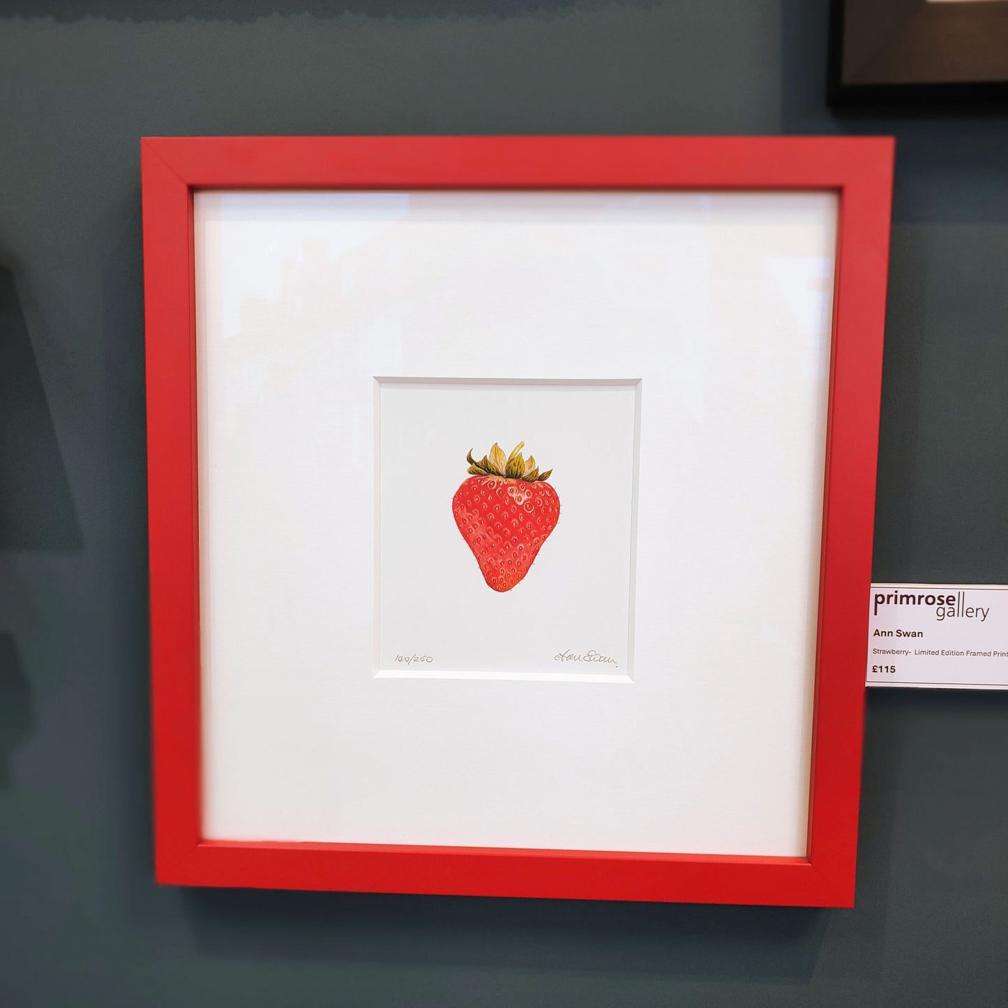 Ann Swan - Strawberry, Framed Limited Edition Print