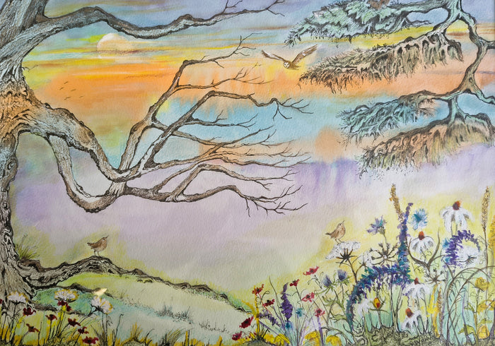 Jane Warwick - Song Birds, Original Mounted pen, Ink and Watercolour