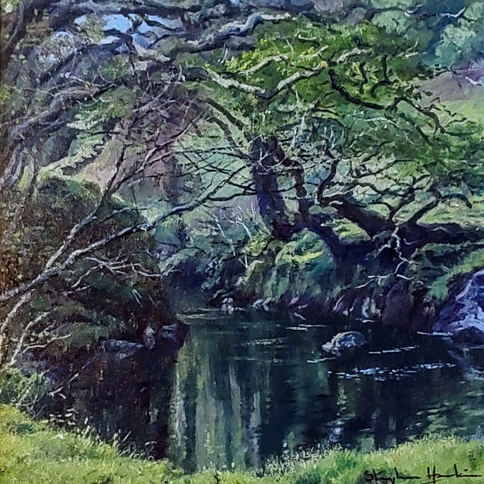 Stephen Hawkins - Woodland Tranquility, Framed Original Oil on Canvas