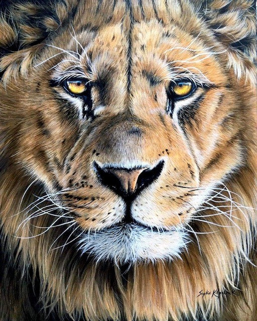 Sophie Bliss Kilpatrick - Golden Gaze