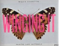 Basil and Ford - Butterfly, Framed Screen Printed Vintage Cigarette Card
