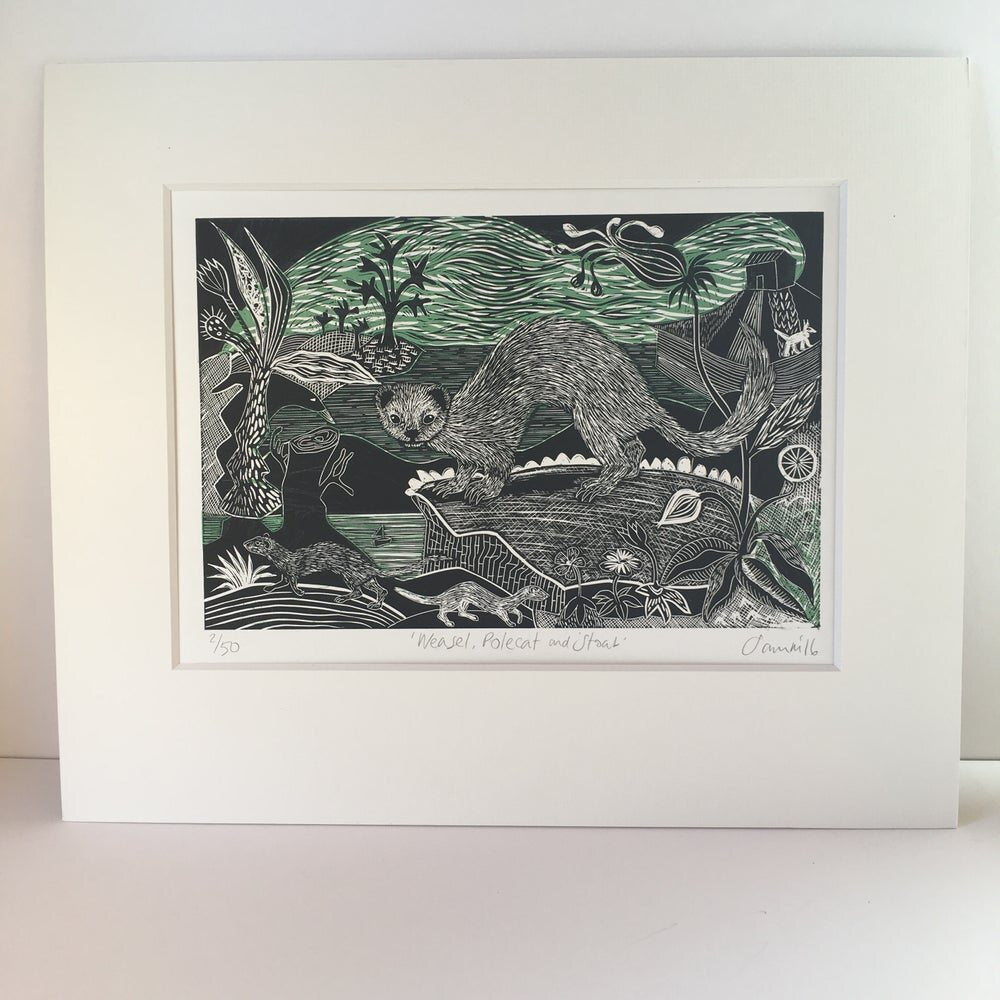 Sam Marshall- Weasel, Polecat and Stoat - Primrose Gallery