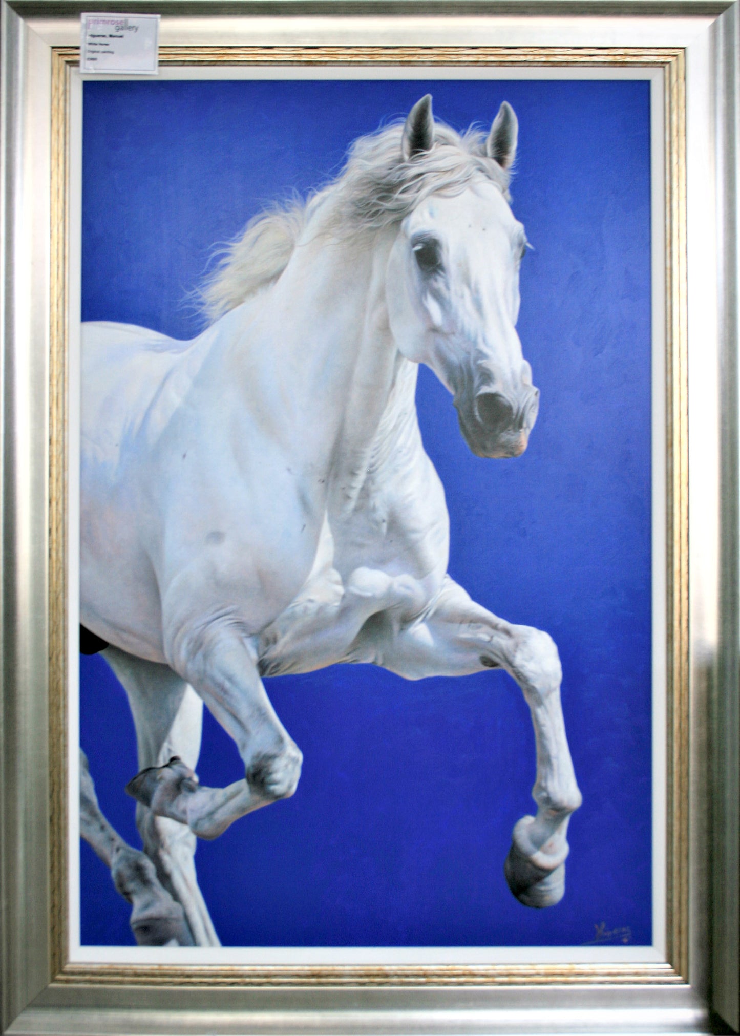 Higueras, Manuel - White Horse - Primrose Gallery