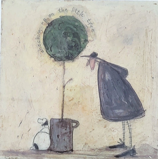 Sam Toft- Checking up on the Little Tree