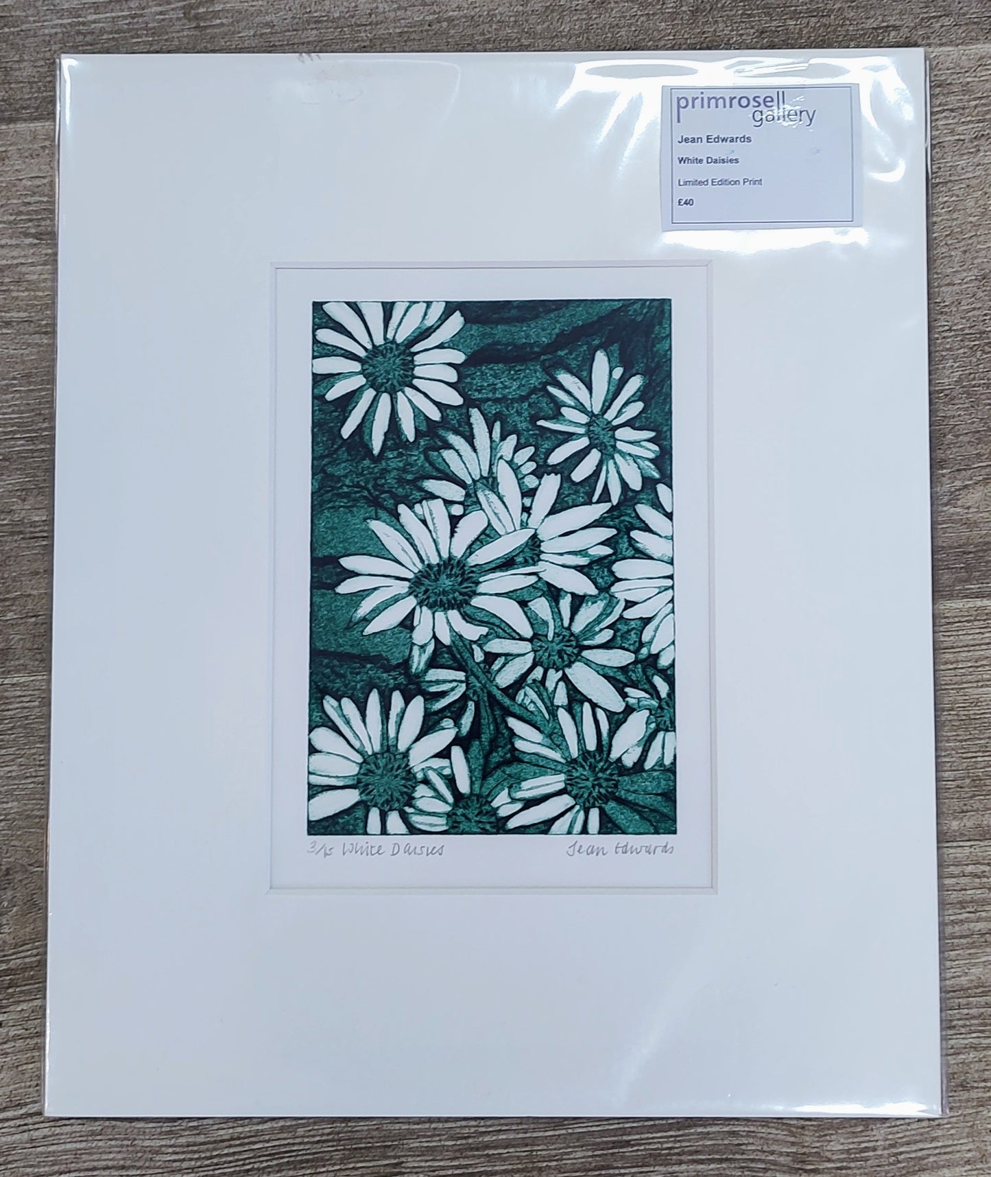 Jean Edwards- White Daisies