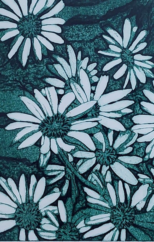 Jean Edwards- White Daisies
