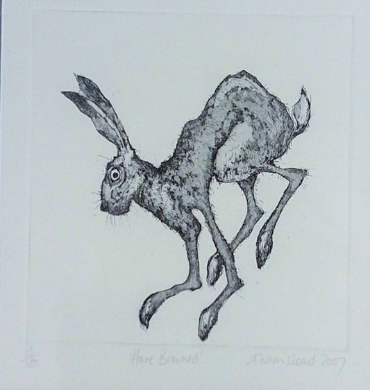Alison Read - Original Limited edition Etching of a Hare-  'Hare Brained'