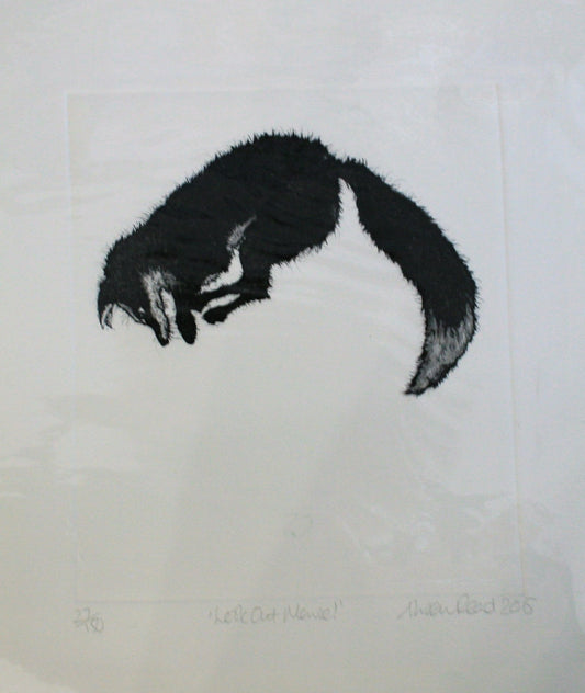 Alison Read - Limited edition etching of a hunting fox- "Look Out Mouse"