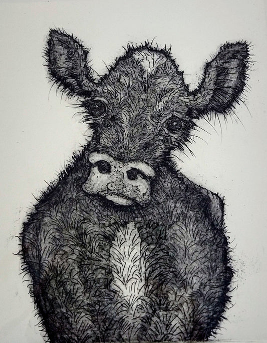 Alison Read - Limited edition Etching of dairy cow- Norman