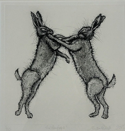 Alison Read - The Playfight, Origianl Etching of Boxing hares
