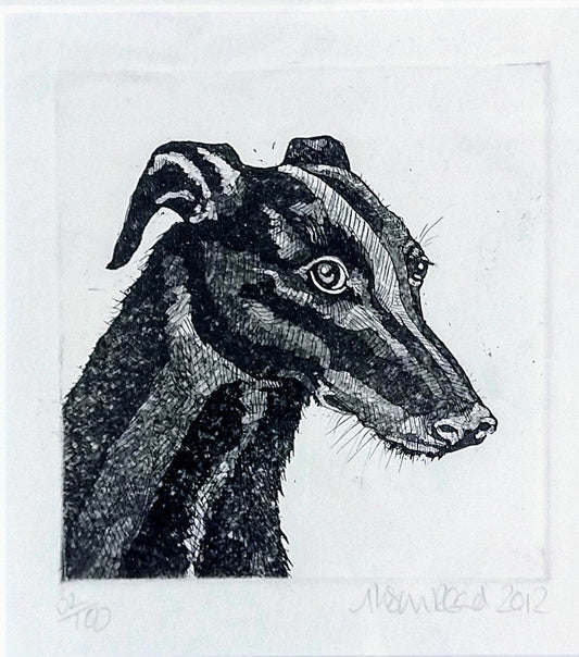 Alison Read -Unnamed Greyhound, Original Etching