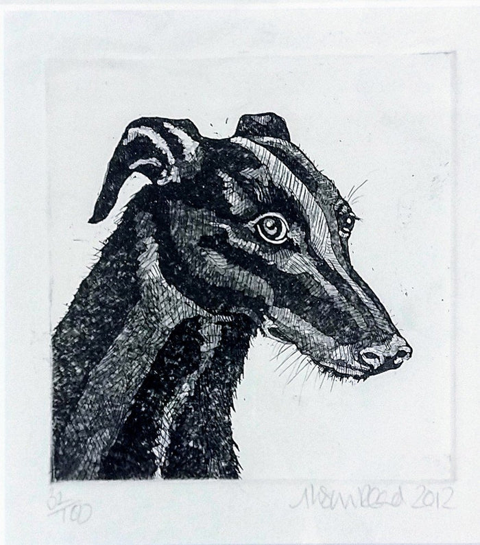 Alison Read -Unnamed Greyhound, Original Limited Edition Etching, Unframed Limited Edition Print