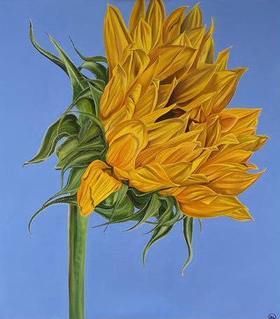 Debbie Waterworth- Sunflower - Primrose Gallery and Framing