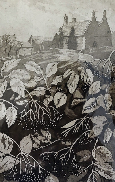 Sorrell Kinley- Elderberries, Harpers Brook, Sudborough - Primrose Gallery and Framing