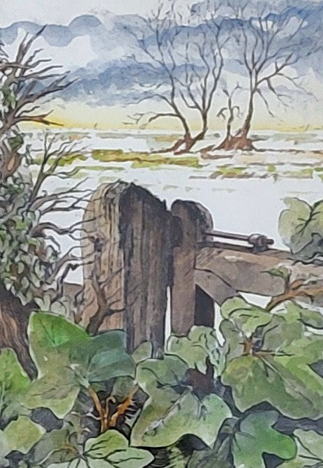 Sorrell Kinley- Nene Landscape (Unframed)