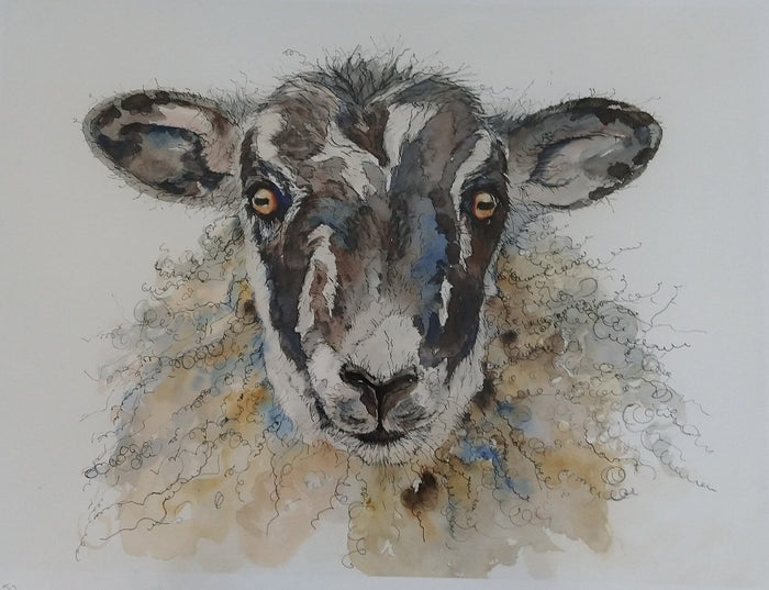Anne Gilbert - Lottie the Sheep, Limited Edition Print
