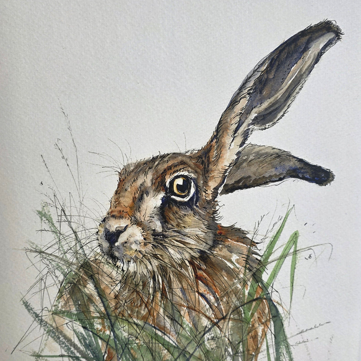 Anne Gilbert - Hazel Hare Limited Edition Print