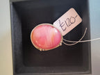 Tracy Chamberlain - Hibiscus ring - Primrose Gallery and Framing 