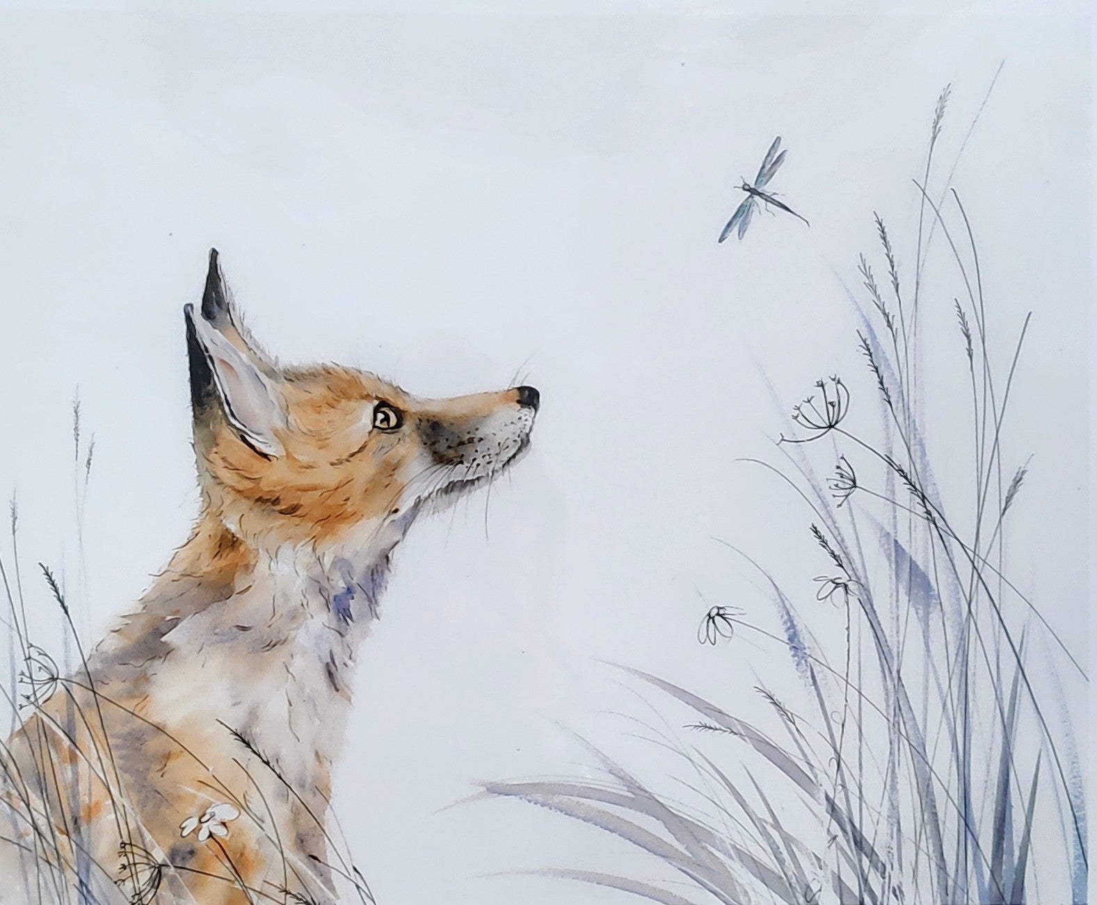 Anne Gilbert- Fox and Damselfly , Limited Edition Print of a Red Fox - Primrose Gallery and Framing 
