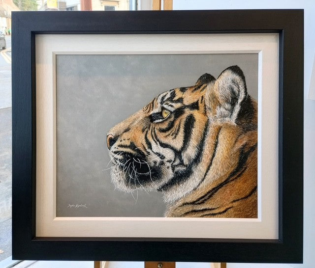 Sophie Bliss Kilpatrick - Stop and Stare