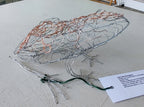 Laura Partington- Frog Wire Sculpture - Primrose Gallery and Framing 