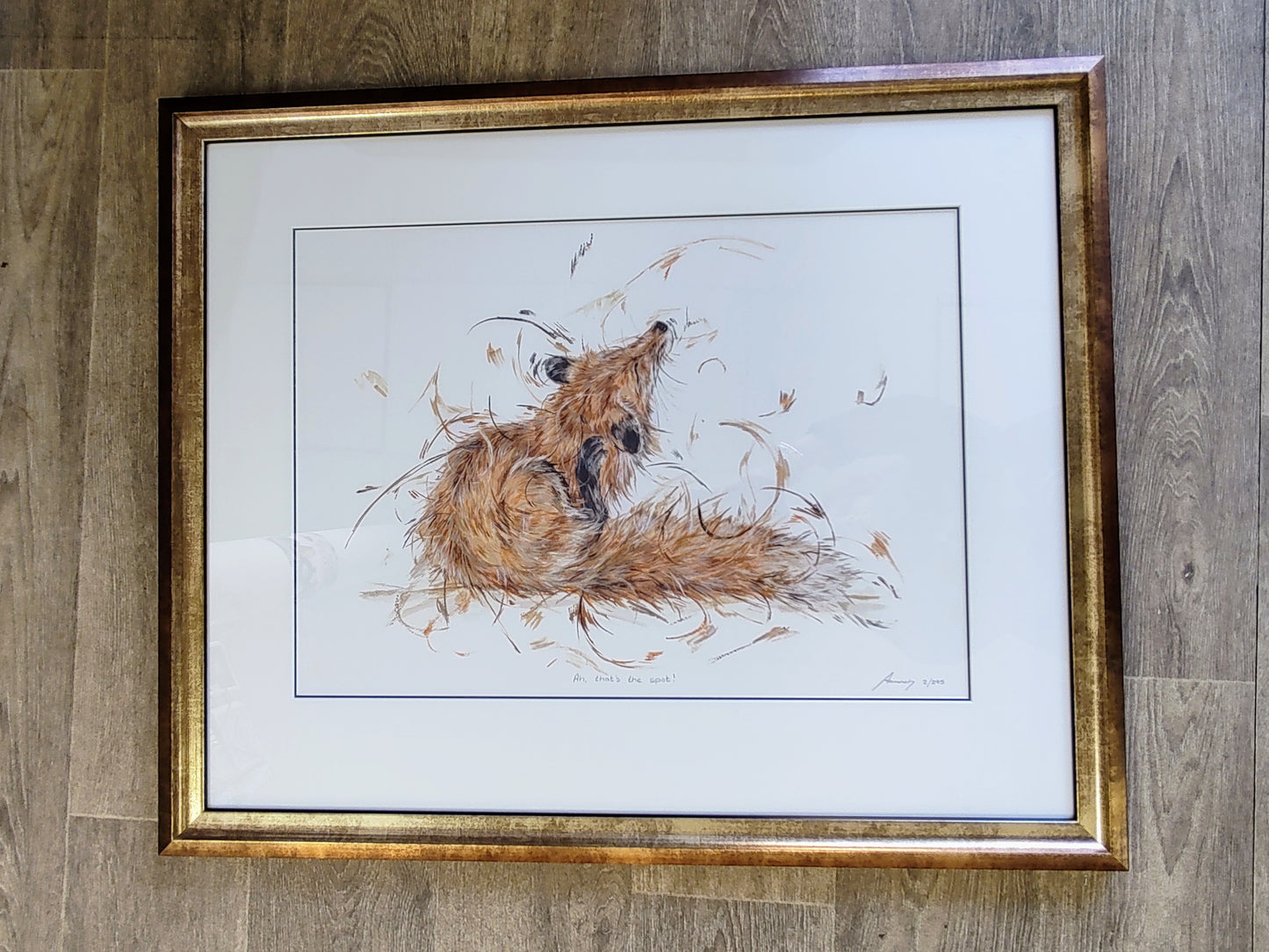 Aaminah Snowdon- Ah, that's the spot! Limited Edition Framed Print of a Cute Fox