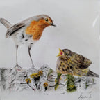 Keiran Hodge- Robin and Chick, Limited Edition Print - Primrose Gallery and Framing 