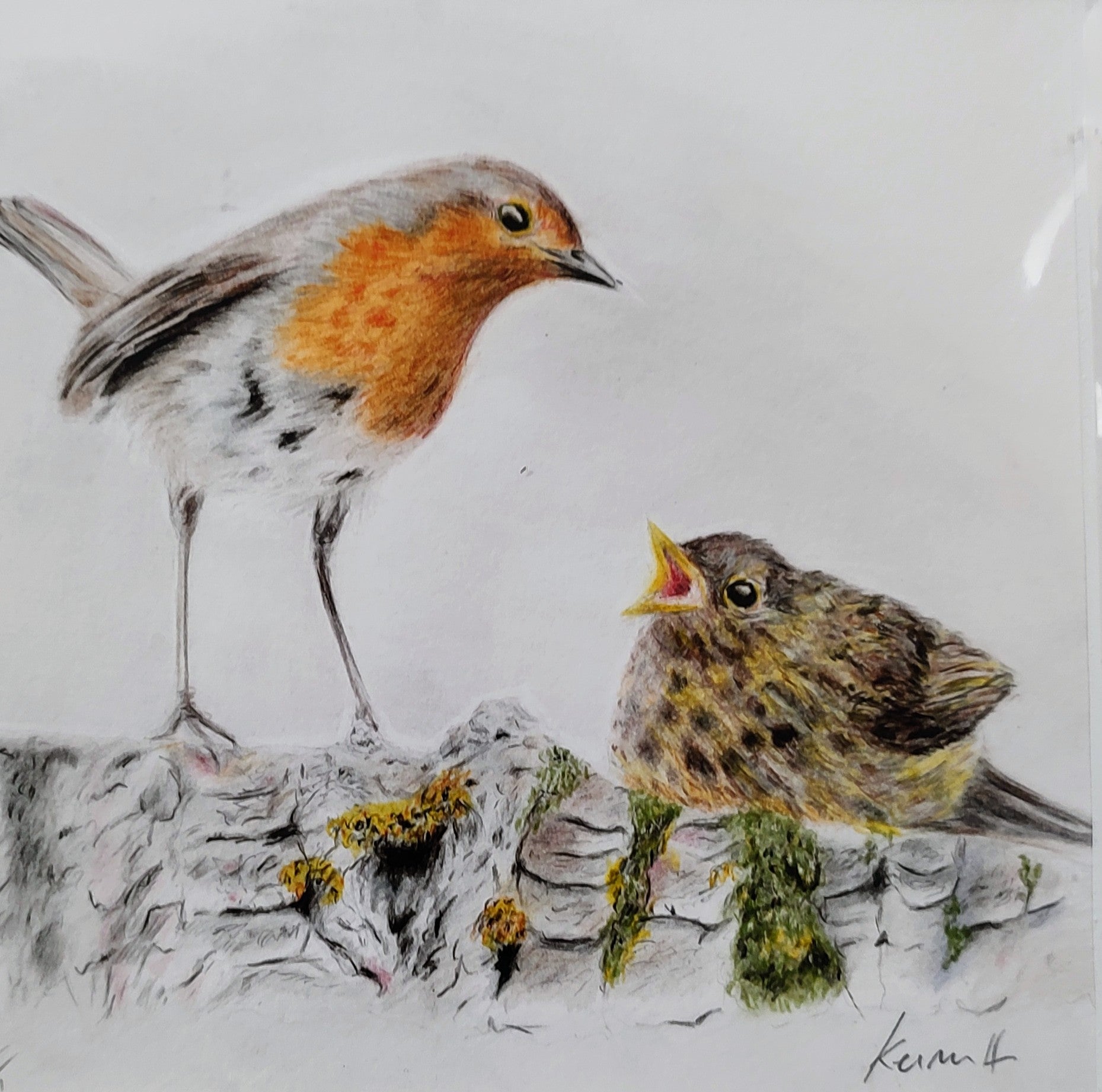 Keiran Hodge- Robin and Chick, Limited Edition Print - Primrose Gallery and Framing 