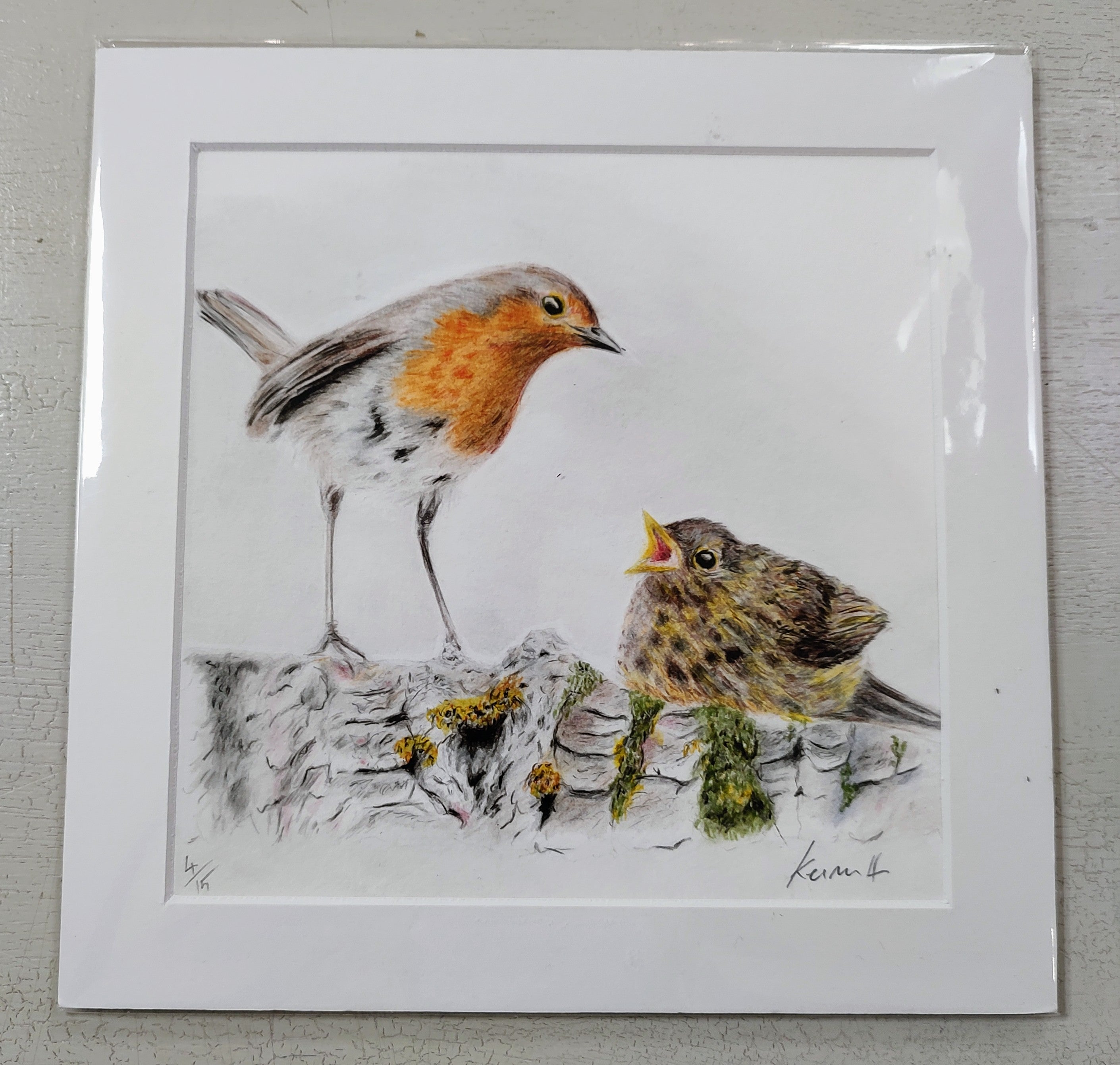 Keiran Hodge- Robin and Chick, Limited Edition Print - Primrose Gallery and Framing 