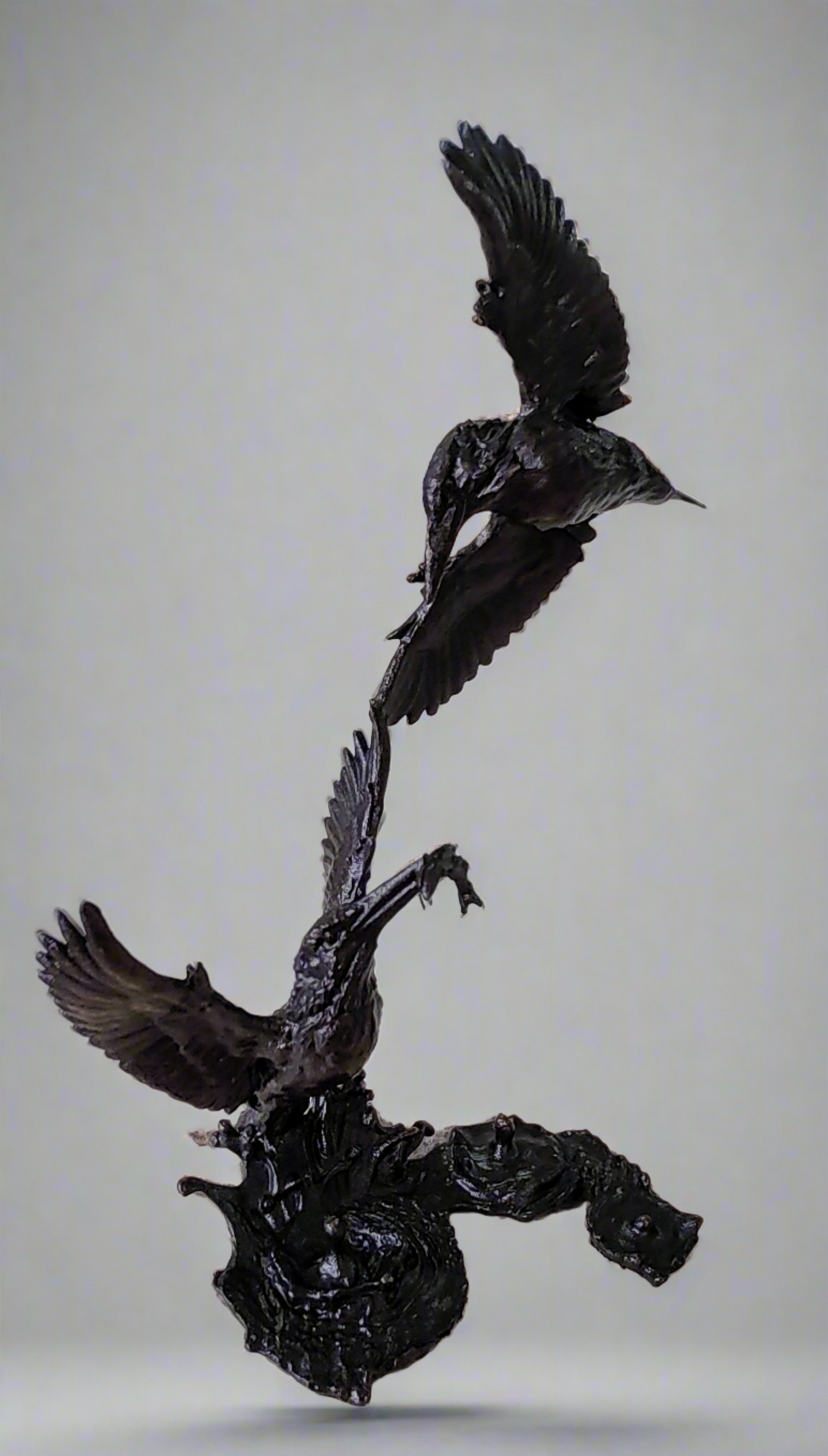 Richard Cooper- Minature Kingfisher Pair