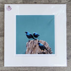 Amanda Drage- You, Me and Him, Limited Edition Mounted Print - Primrose Gallery and Framing 