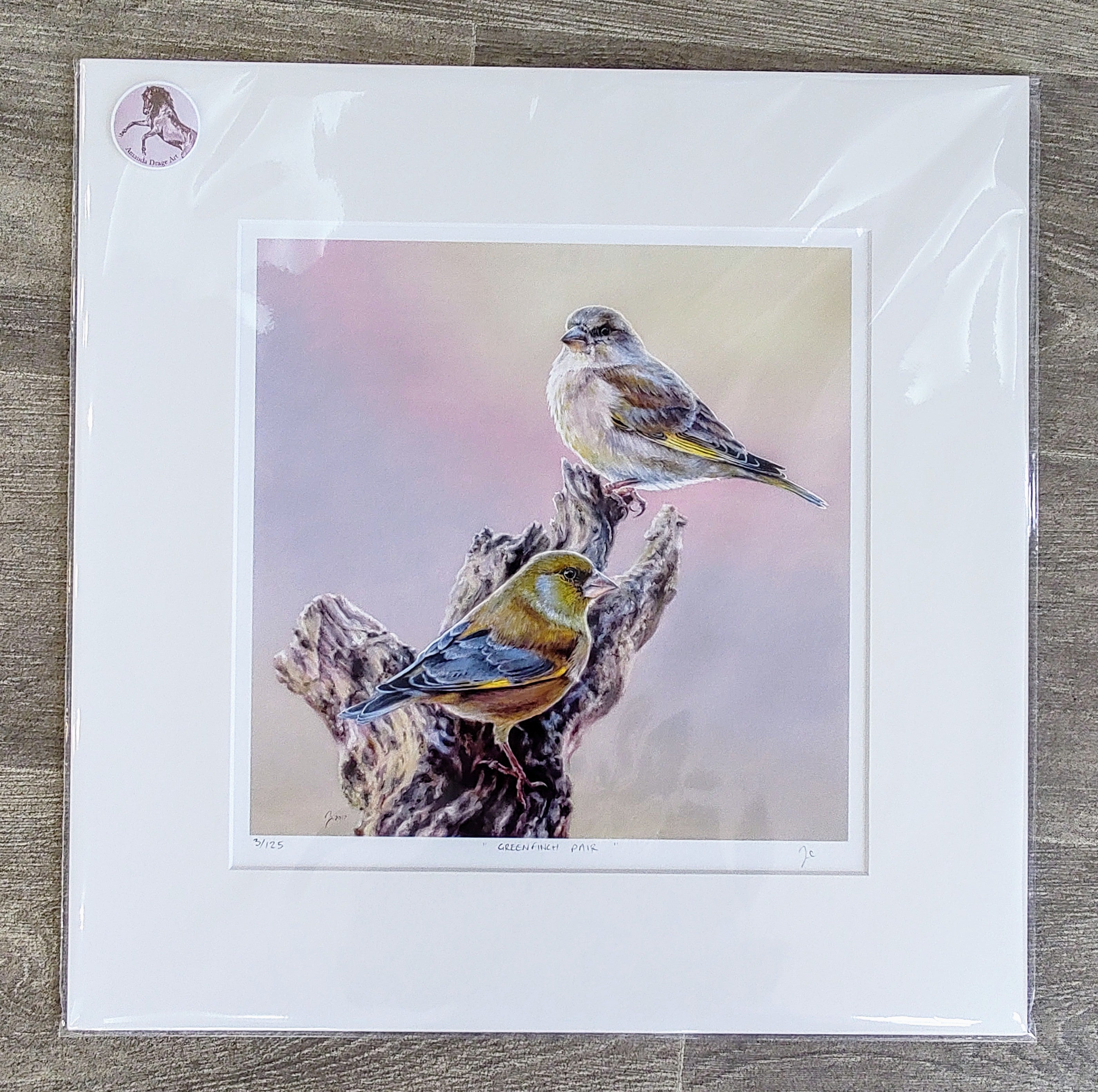 Amanda Drage- Greenfinch Pair, Limited Edition Mounted Print - Primrose Gallery and Framing 