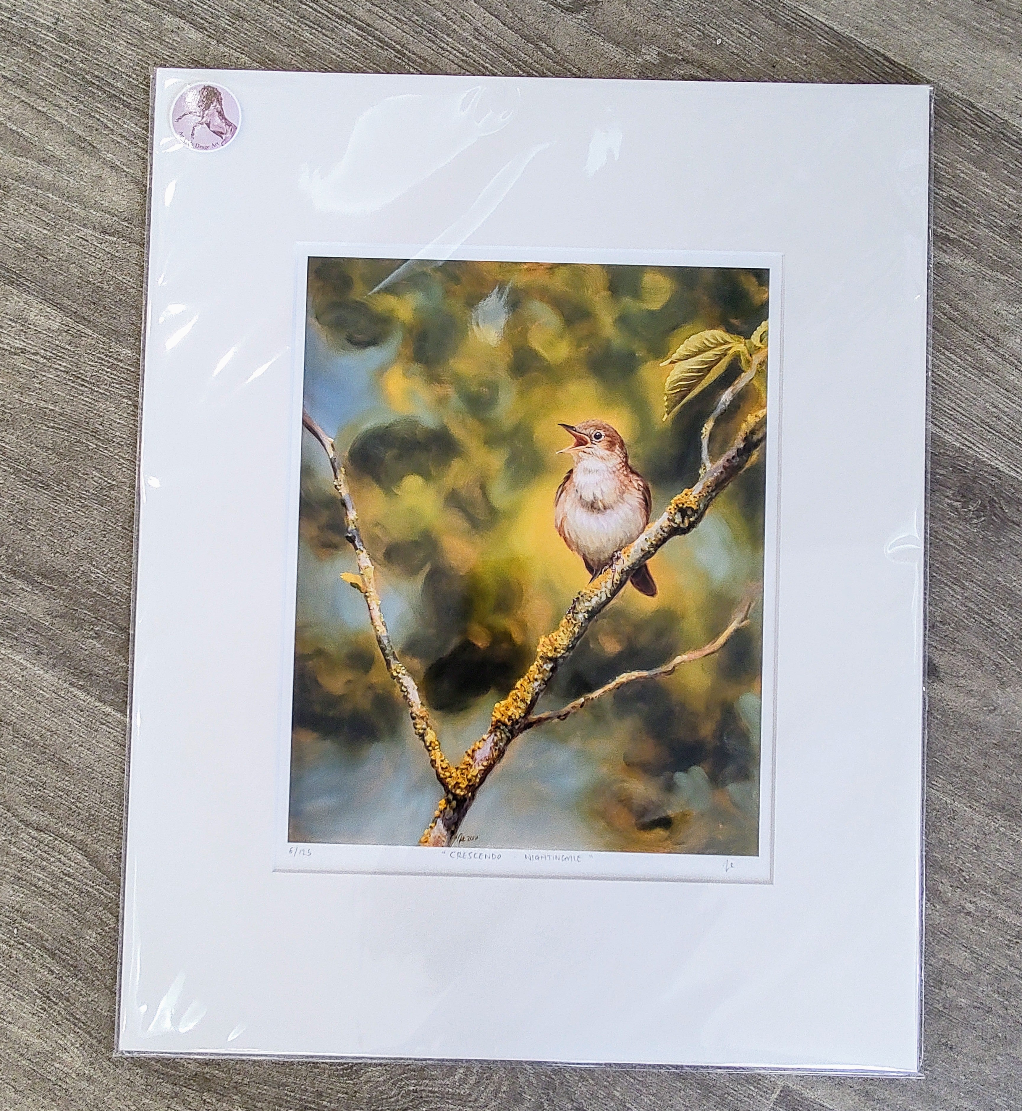 Amanda Drage- Crescendo, Nightingale, Limited Edition Mounted Print - Primrose Gallery and Framing 