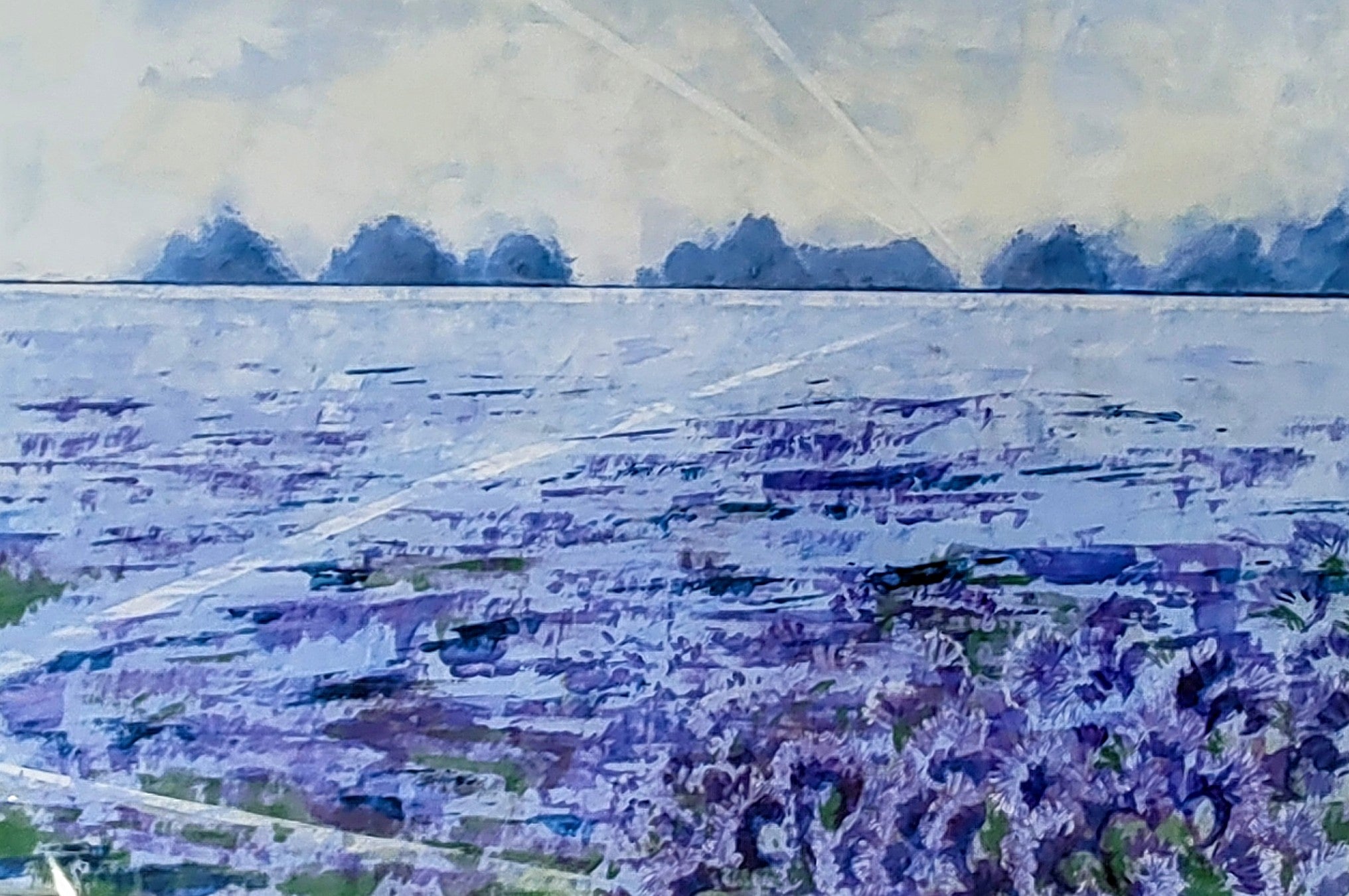 Deirdre Blackburn- Field of Phacelia, Limited Edition Mounted Giclee Print - Primrose Gallery and Framing 